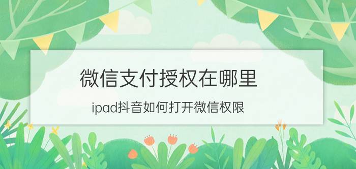 微信支付授权在哪里 ipad抖音如何打开微信权限？